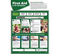 Daydream Education HEA2015L Workplace First Aid | Carteles de salud y seguridad | Papel laminado brillante 420 mm x 594 mm (A2) | Tablas de pared comerciales y oficina de salud