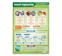 Daydream Education - Póster de ingeniería genética | Papel brillante de 850 mm x 594 mm (A1) | Gráficos de ciencia para el aula | Cartas de educación