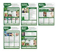 Daydream Education - Póster de primeros auxilios - Juego de 5 | carteles de salud y seguridad | Papel laminado brillante 420 mm x 594 mm (A2) | Gráficas educativas de Daydream Education