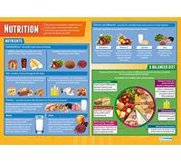 Daydream Education - Pósteres de desarrollo infantil, papel brillante laminado de 850 mm x 594 mm (A1)