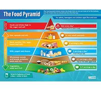 Daydream Education The Food Pyramid - Cartel científico, papel satinado, 850 mm x 594mm (A1), ideal para aulas, Habitación infantil