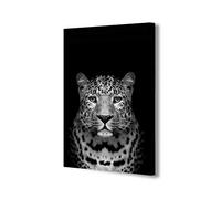 Days Escape Lite & Whirl - Rueda delantera para silla de ruedas (20,3 x 2,5 cm)