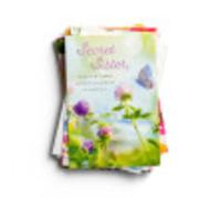 DaySpring - Hermana Secreta - Mensajes Dulces - 12 Tarjetas y Sobres en Caja (12 Dise os Surtidos con Escrituras) Multi
