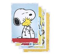 DaySpring Peanuts 74870 - Tarjetas inspiradoras de aliento en caja, color azul