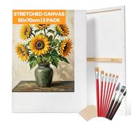 DazSpirit Juego de 2 lienzos para pintar, 50 x 70 cm, lienzo grande de algodón, 3 capas de imprimación, juego de lienzos con 6 pinceles y 3 espátulas, lienzo para pinturas acrílicas al óleo