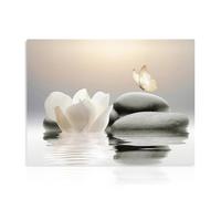 Dazzlewall Zen Lienzo Arte de Pared Impresiones de Flores de Loto Blanco, Piedra Pacífica Cuadro de Mariposa Para Baño Yoga Espiritual Spa Dormitorio Decoración de La Sala de Estar 30×40 cm Sin Marco