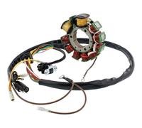 DB Electrical APO4001 Stator Coil For Polaris Magnum 425 95 96 97 98 1995 1996 1997 1998, Sportsman 400 01 02 2001 2002, 500 96 97 1996 1997,Xplorer 1997 97,335 Sportsman 1999 2000 99 00