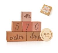 DBAILY Tarjetas de hitos bebé, madera, hitos bebé, bloques de edad de hitos, con semanas, meses, años, y peso, accesorios para sesiones de fotos de bebé