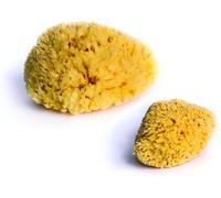 dBb Remond - Esponjas naturales (2 unidades)