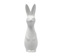 DBKD Figura Swedish rabbit large White