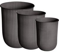 DBKD OUT STRIPE 3-Set - brown