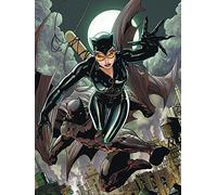 DC Comics Batman Cat & Bat - Lienzo Impreso (60 x 80 cm), Multicolor