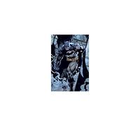 DC Comics Batman Prowl Póster, Madera, Multicolor