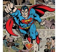 DC Comics Burst-Lienzo Decorativo (40 x 40 cm), Poliéster, Multicolor