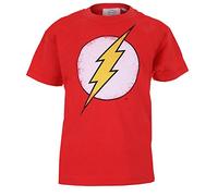 DC Comics Camiseta de Manga Larga con el Logo Distressed Flash para niños de, Corte Regular, Color Rojo Rojo y Rojo, de 12 a 14 años Talla del Fabricante 3XL
