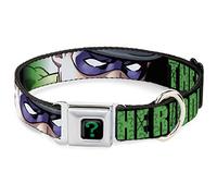 DC Comics - Collar para Mascotas, Collar de Perro, Hebilla de cinturón de Seguridad de Metal, Cara de acertijo de Cerca Negro y Verde, 20 a 31 Pulgadas, 1.5 Pulgadas de Ancho