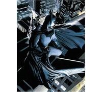 DC Comics Glass Poster Batman Watcher 30 x 40 cm SD Toys