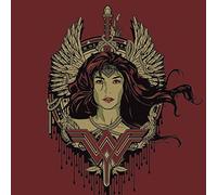 DC Comics Impresión en Lienzo de Perfil de Wonder Woman de 40 x 40 cm, Poliéster, Multicolor