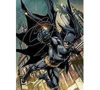 DC Comics Impresiones en Lienzo de Grapple Gun 60 x 80 cm, Poliéster, Multicolor, 60x80x3.2 cm