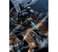DC Comics Impresiones en Lienzo de Techo de 60 x 80 cm, Poliéster, Multicolor, 60x80x3.2 cm