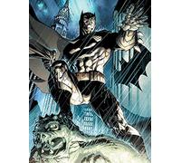 DC Comics Impresiones en Lienzo Storm 60 x 80 cm, Poliéster, Multicolor, 60x80x3.2 cm