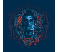 DC Comics Lienzo Impreso con Perfil de Superman (40 x 40 cm), Poliéster, Multicolor