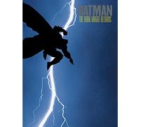 DC Comics Lienzo Impreso de The Dark Knight Returns (60 x 80 cm), Poliéster, Multicolor, 60x80x3.2 cm