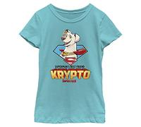 DC Comics Little, Big DC Super Pets Krypto Friend Girls Short Sleeve Tee Shirt, Tahiti Blue, Large