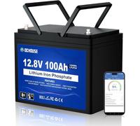DC HOUSE Bateria LiFePO4, Bluetooth Bateria litio12V 100Ah, Con Protección Contra baja Temperatura, 100 BMS Inteligente, hasta 15000 ciclos, Para Paramotores de Trolling, Marina, Barco, Auto Caravanas