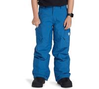 DC Shoes Banshee Youth Pant - Pants Niños