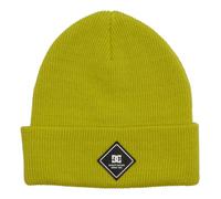 DC Shoes Label Beanie Gorra, Apple Green, Estándar para Hombre