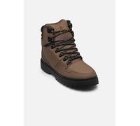 DC Shoes Peary TR M 44 Marrón