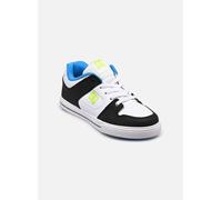 DC Shoes Pure Elastic 35 Multicolor