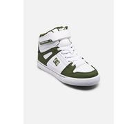 DC Shoes Pure High-Top EV 33 Blanco
