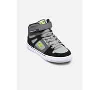 DC Shoes Pure High-Top EV 33 Gris