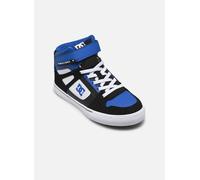 DC Shoes Pure High-Top EV 33 Multicolor