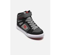 DC Shoes Pure High-Top EV 35 Multicolor