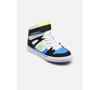 DC Shoes Pure High-Top EV 37 Multicolor