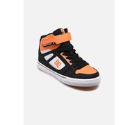 DC Shoes Pure High-Top EV 38 Multicolor