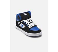 DC Shoes PURE HIGH-TOP WC 43 Multicolor