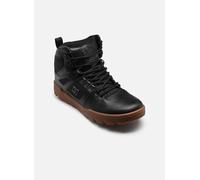 DC Shoes Pure High-Top WR Boot 40 Negro