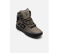DC Shoes Pure High-Top WR Boot 43 Verde