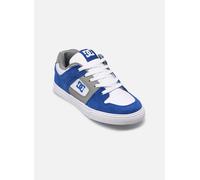 DC Shoes Pure Kids 37 Multicolor