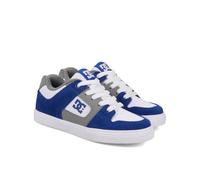 DC Shoes Pure - Zapatillas de Piel - niños - Blanco