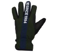 DC Shoes Salute Glove Guantes para Clima frío, Mountain View, Estándar Hombres