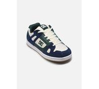 DC Shoes STAG YOUTH 38 Multicolor