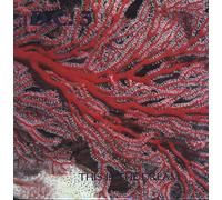 Dc3 - This Is the Dream [Vinilo]