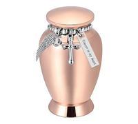 Dcaknri Pequeña urna de cremación para mascotas, colgante conmemorativo de regalo para mascotas, tapa segura y cruces, colgantes de cadena, recuerdos de mascotas