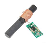 DCF77 Módulo de reloj de radio con antena para recepción constante de señales de tiempo y procesamiento MCU, para tareas de sincronización de frecuencia de 77 5 KHz (A)