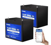 DCHOUSE 2 Pack Baterías LiFePO4 12V 100Ah Bluetooth, BMS Mejorado 100A, 15000+ ciclos Profundos, Batería de Litio 1280Wh para carritos de Golf, Motores de Pesca, Barcos, Camping, Sistema Solares